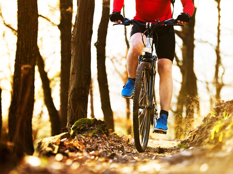 Servizi e percorsi per gli amanti della mountain bike